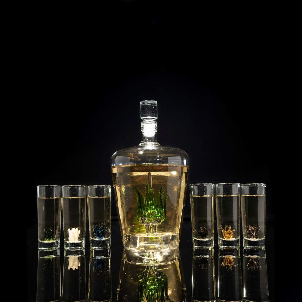 Tequila Decanter Set