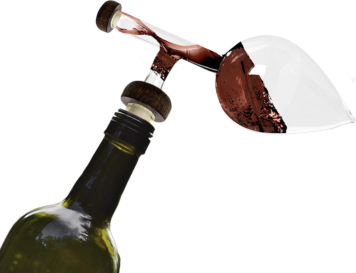 Wine Aerator and Decanter