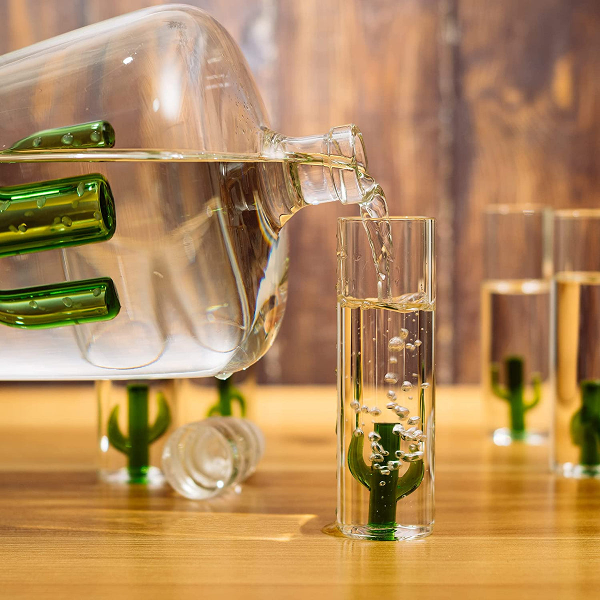 Cactus Tequila Decanter Set