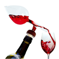 Wine Aerator and Decanter
